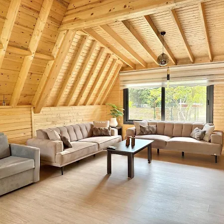 With Hot Pool In Villa *