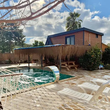 With Hot Pool In Villa