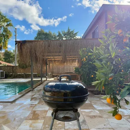 With Hot Pool In Willa *