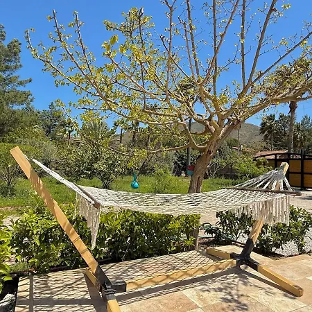 With Hot Pool In Willa