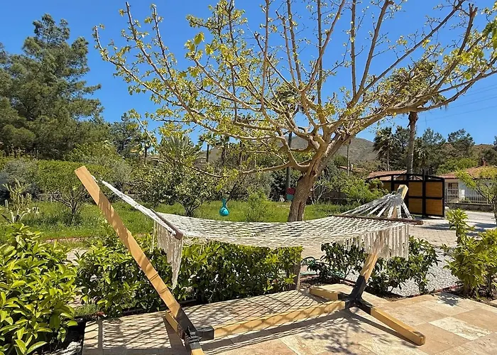 With Hot Pool In Vilă