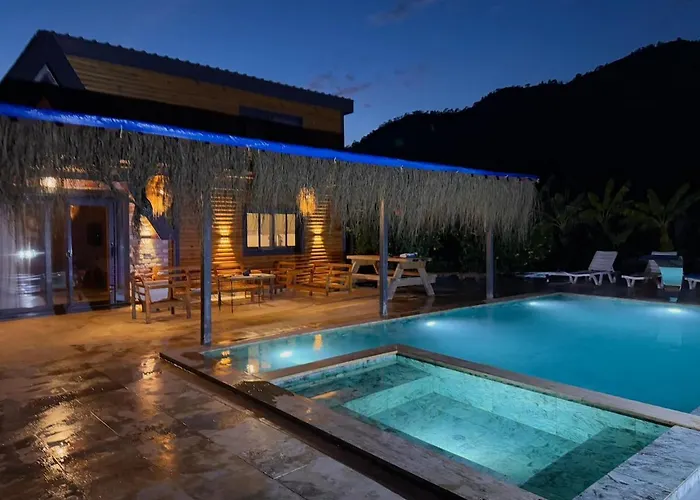 Vilă With Hot Pool In