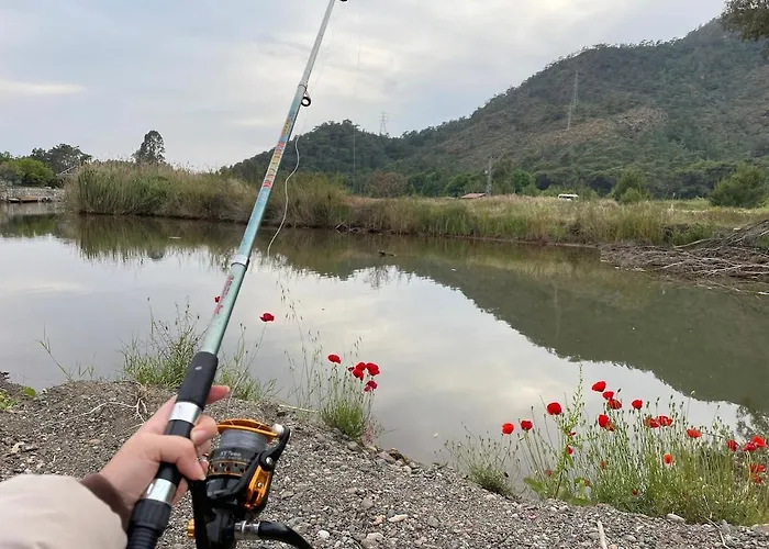 Vilă With Hot Pool In