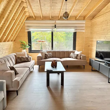 Villa With Hot Pool In Marmaris